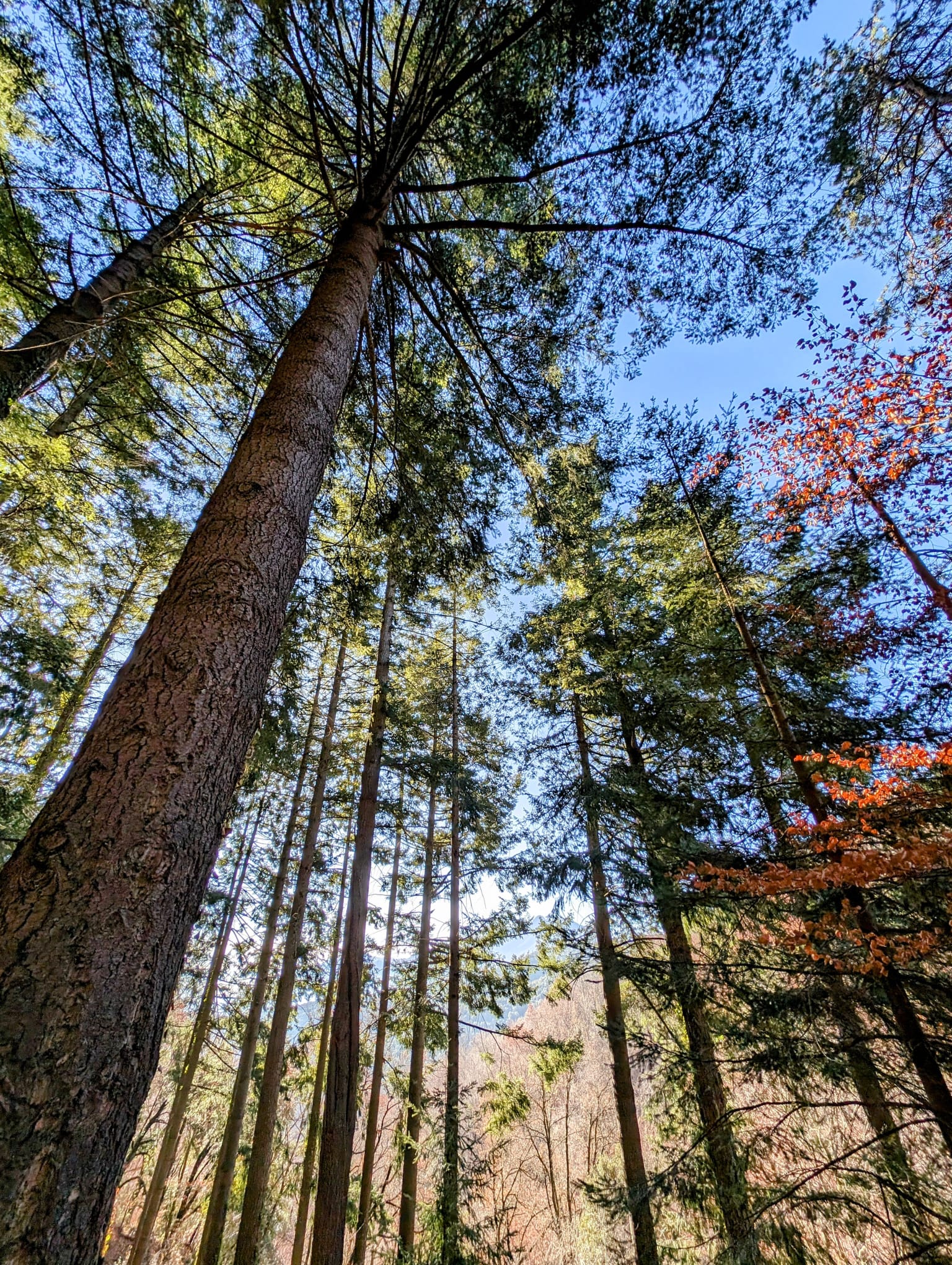 Sant Hilari Sacalm 2